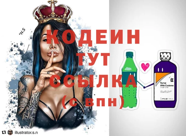 индика Абинск
