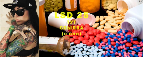 PSILOCYBIN Абаза