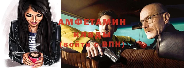 индика Абинск