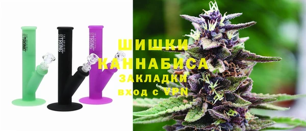 PSILOCYBIN Абаза