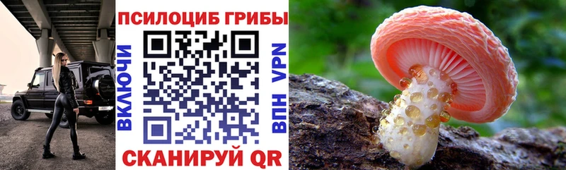 Галлюциногенные грибы мицелий  Барнаул 